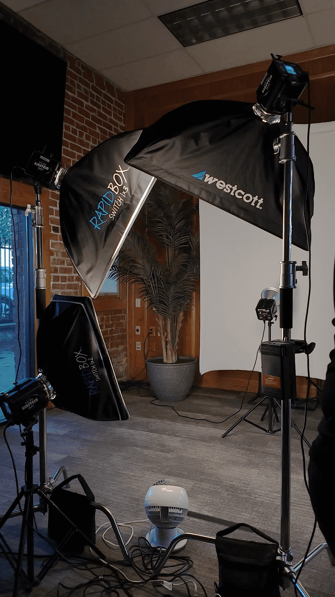 Individual headshot session